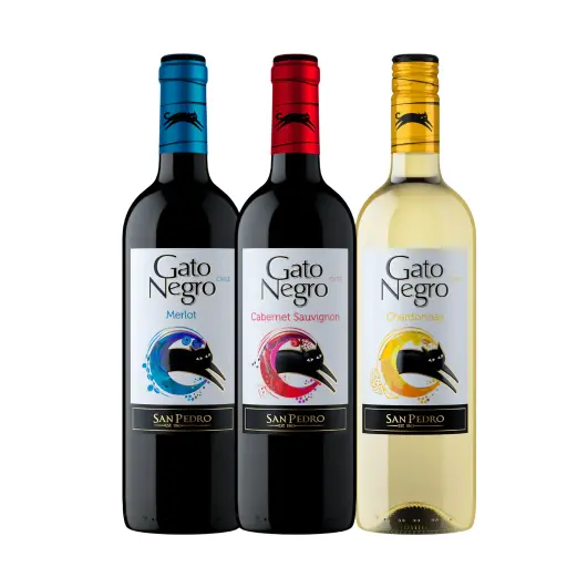 Gato Negro